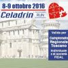 Pisa Half Marathon 2016